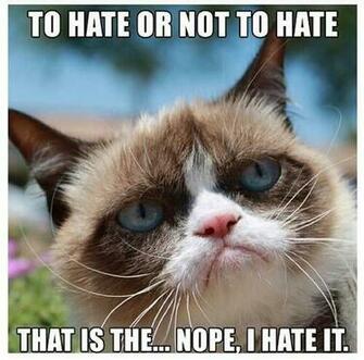 Funny Grumpy Cat Meme Dirty Adult Jokes Memes Amp Pictures
