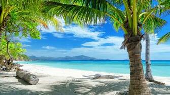 Tropical Beach Scenes Cool