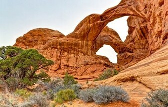 Wallpaper Arches National Park Uta Usa Rock Arch Sky Trees