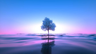 Blue And Pink Aesthetic Neon Wallpaper
