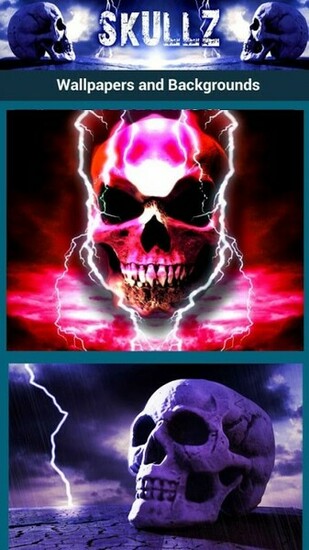 Skulls Wallpaper Android Apps On Google Play