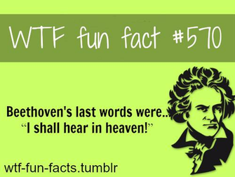 Funny And Weird Facts Wallpaper