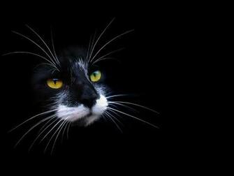Beautiful Black Wallpaper