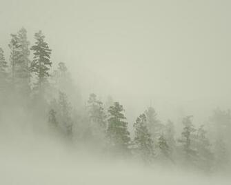 Neutral Background
