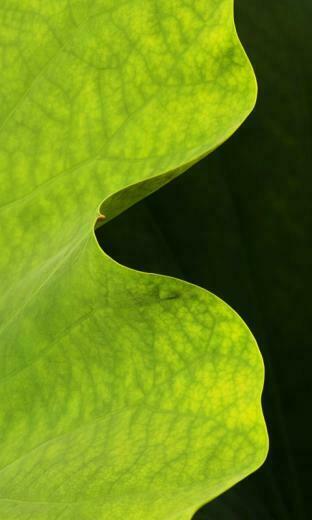 Aw Lockscreenbilder Vom Lumia