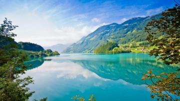 Summer Wallpaper HD Desktop Background Android