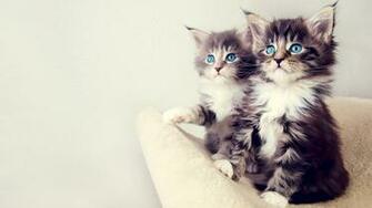HD Wallpaper High Definition Quality Desktop