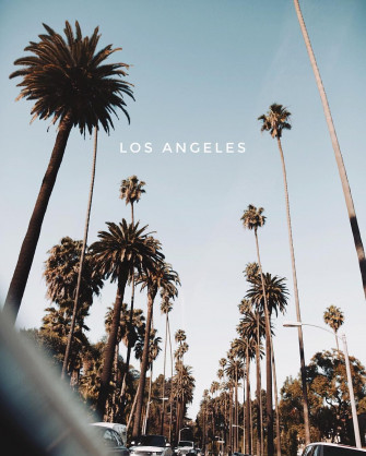 Aesthetic Palms La Wallpaper