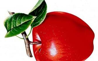 Fruits And Vegetables Wallpaper