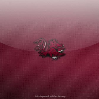 Larger Image Of The iPad Wallpaper If You Want To Save