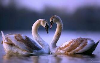 Green Geese Wallpaper