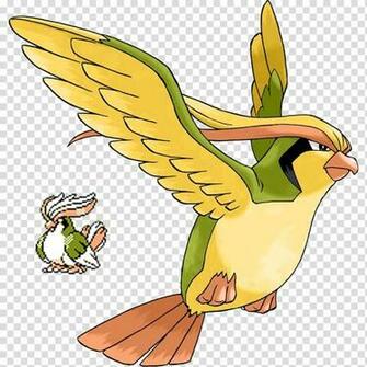 Pok Mon Go Battle Revolution Pidgeotto Pokemon
