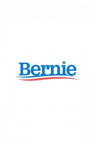 Bernie Wallpaper