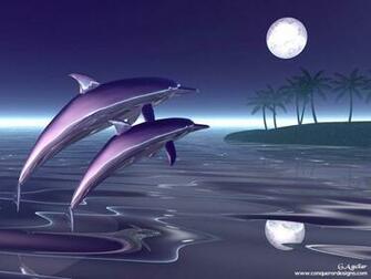 3d Dolphin Wallpaper In HD