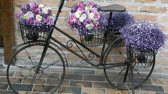 Flower And Bicycle Wallpaper Hq Desktop