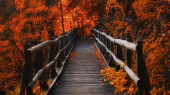 Beauty Of Nature In 4k Fall Wallpaper