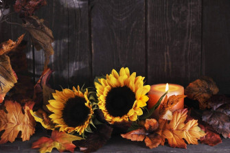 Thanksgiving Wallpaper HD