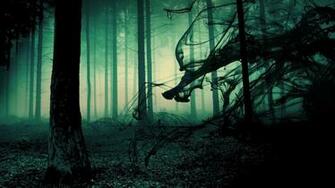 Transylvania S Bermuda Triangle The Haunted Forest Of Hoia Baciu