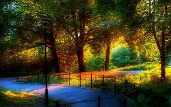 Most Amazing Nature Wallpaper Beautiful Image World HD