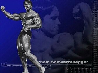 Arnold Schwarzenegger Mr Olympia Bodybuilding Wallpaper Resolution