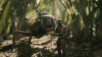Antman Computer Wallpaper Desktop Background Id