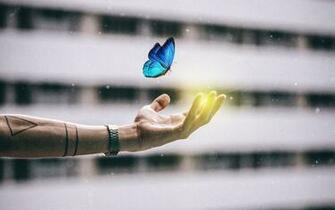 Wallpaper Hand Butterfly Tattoo Window