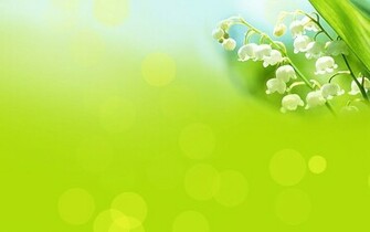 Seductive Green Leafy Landscape Wallpaper Plant High