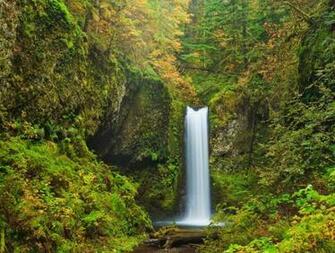 Fairy Falls Trail Columbia River Gorge Oregon Wallpaper