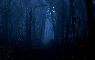 Night Forest Wallpaper