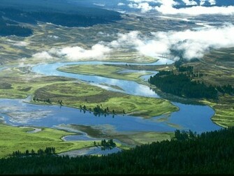 Yellowstone River Wallpaper Stock Photos