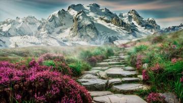 Spring Scenery Wallpaper HD