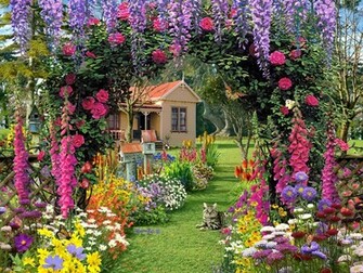 Gallery Love Flowers Wallpaper Flower Background