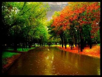 Autumn Vanilla Picture Rain