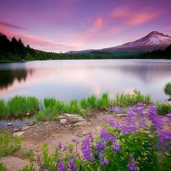 Wallpaper iPhone HD Nature iPad Gallery
