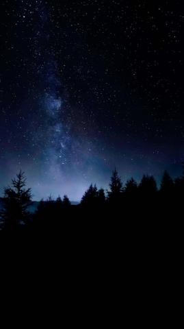 4k iPhone Wallpaper Amoled Trees Starry Sky Pro Max