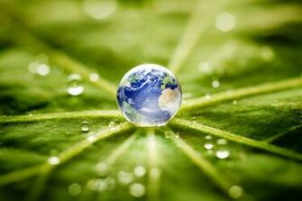 Ecosystem In Photos Most Annoying Business Jargon Forbes