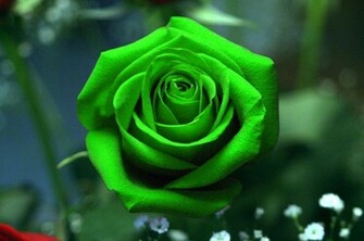 Full HD Wallpaper Green
