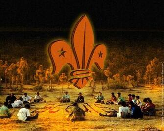 Scout Wallpaper 7s52kly 4usky