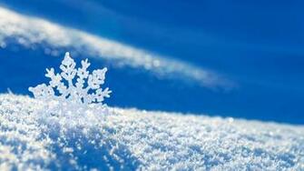Snow Snowflake Winter Wallpaper Background Laptop