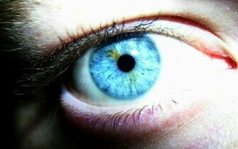 Wallpaper Jokes Blue Eyes Photos HD Desktop