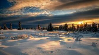 Wallpaper Winter Forest Snow Sunset Norway