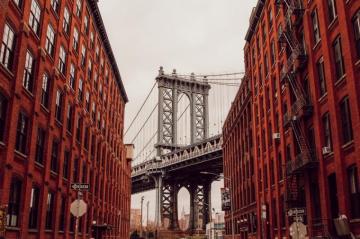 Dumbo Pictures Image