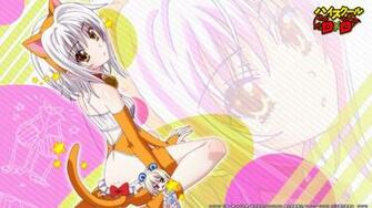Koneko High School Dxd Wallpaper