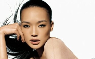 Top Shu Qi Wallpaper