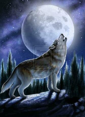 Howling Wolf By Smorrisonart Digital Art Drawings Paintings Animals