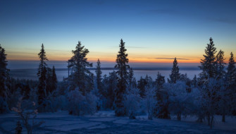 Nature Winter HD Wallpaper