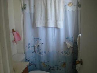 Dolphin Shower Curtain Bathroom Phoenix Arizona Home House Real Estate