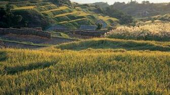 HD Cool Country Green Farmland Desktop Background
