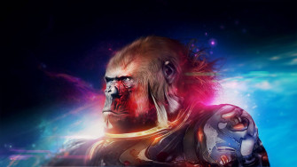 Cool Gorilla Wallpaper
