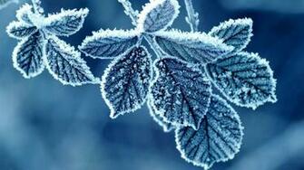 Crystal Blue Ice Wallpaper